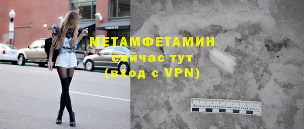 прущие грибы Вязьма