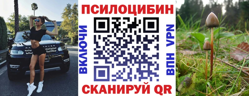 Псилоцибиновые грибы GOLDEN TEACHER  Большой Камень 